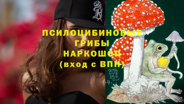 соль курить ск Белокуриха