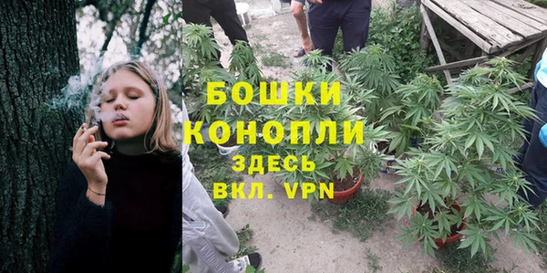 соль курить ск Белокуриха