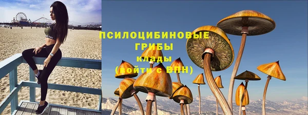эйфоретик Пролетарск